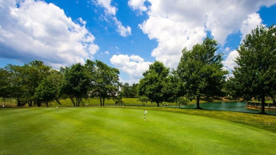 Renaissance GC: Practice area