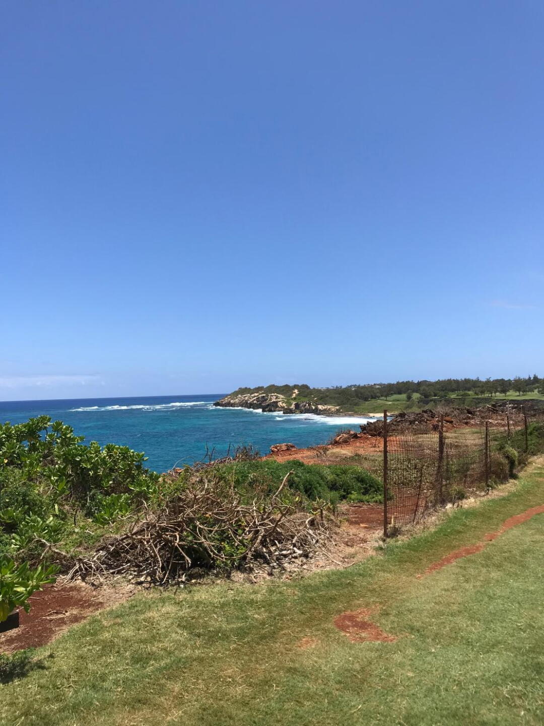 (Photo submitted by u732207290 on 05/22/2019)