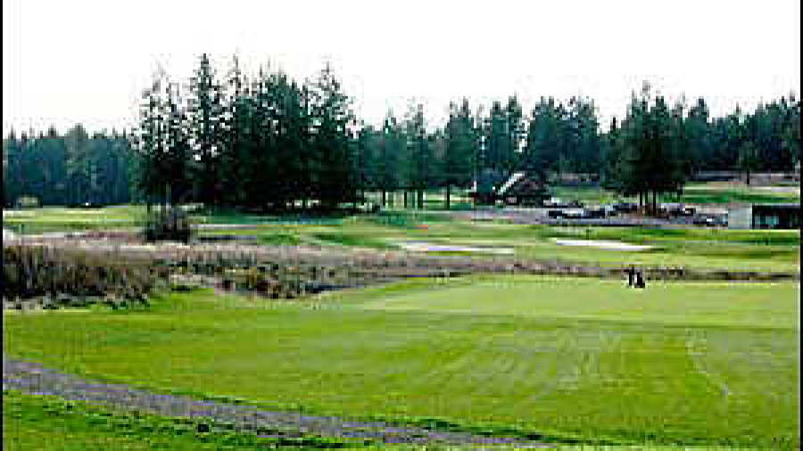 Mallard Creek #2