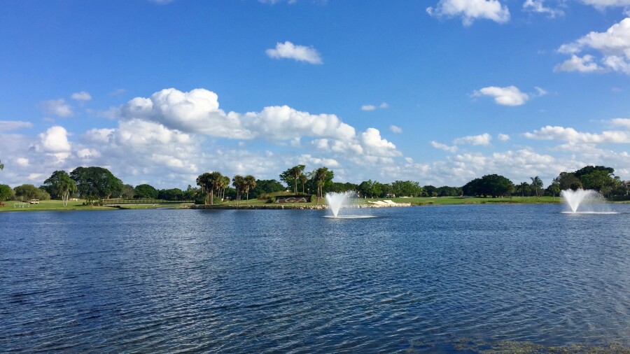 PGA National Palmer logo hedge