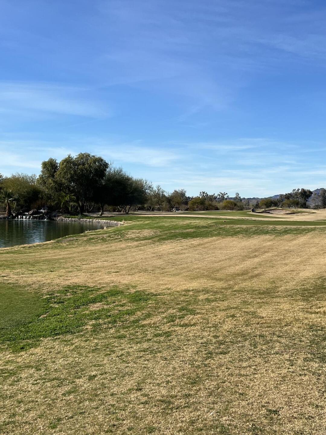 (Photo submitted by moe143 on 01/27/2024)