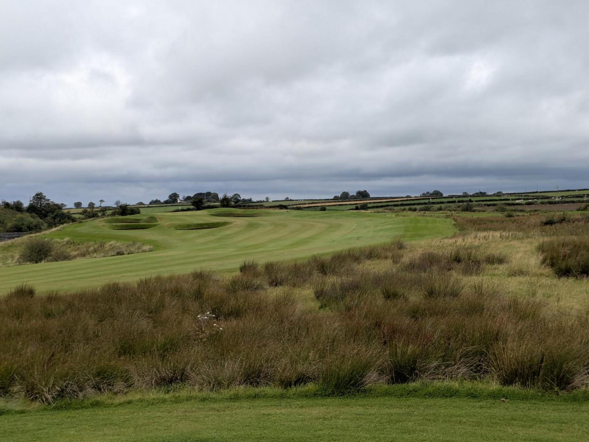 12 (Photo submitted by u245592432 on 04/04/2026)