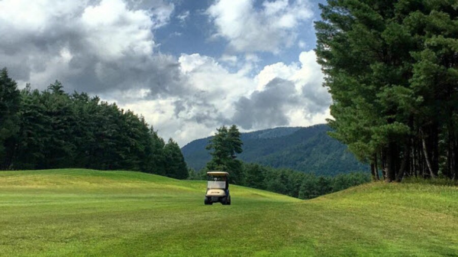 12 - Living The Green - November 2015 - faheenquadri