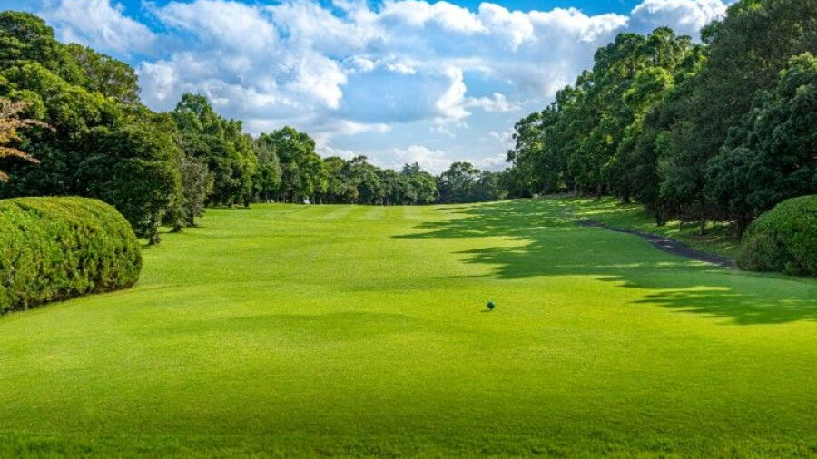 Manna CC - Azalea: #9