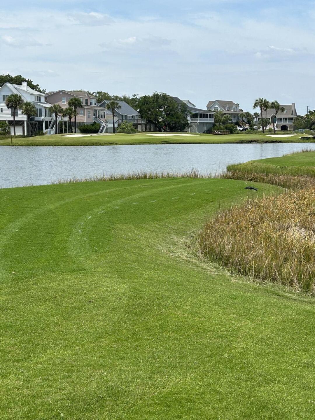 (Photo submitted by adaberne7 on 06/17/2023)