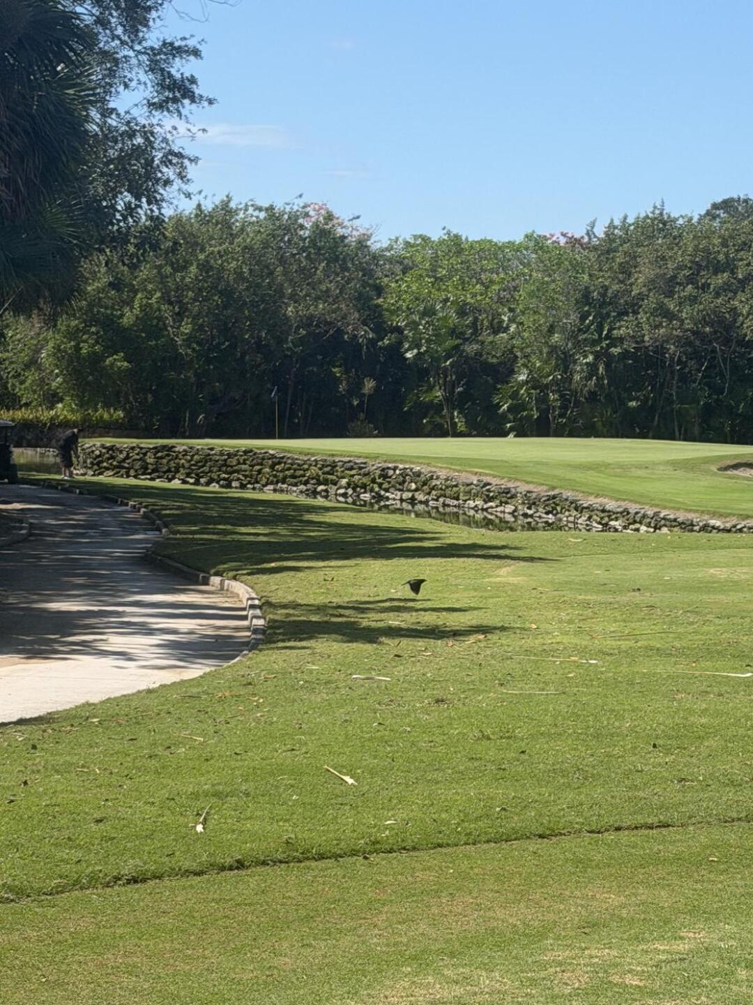 (Photo submitted by gybuynew on 04/12/2026)