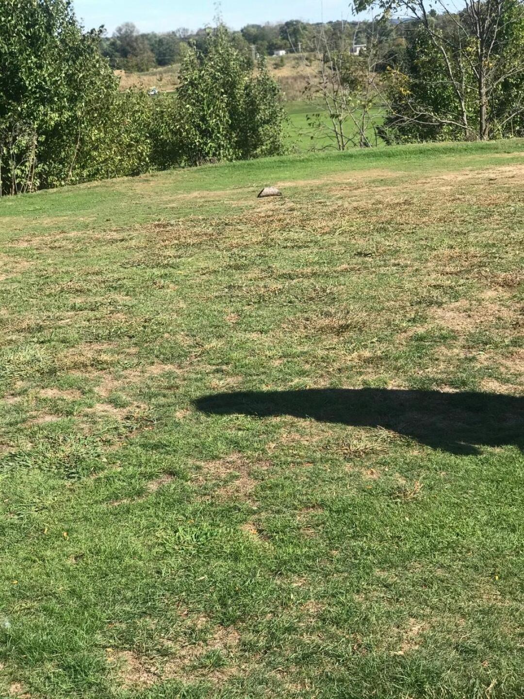 Tee Boxes (This is one of the tee boxes with actual green on it, rather than just pure dirt) (Photo submitted by ScEGDxKM8Z1A9tQ5q63k on 10/13/2019)