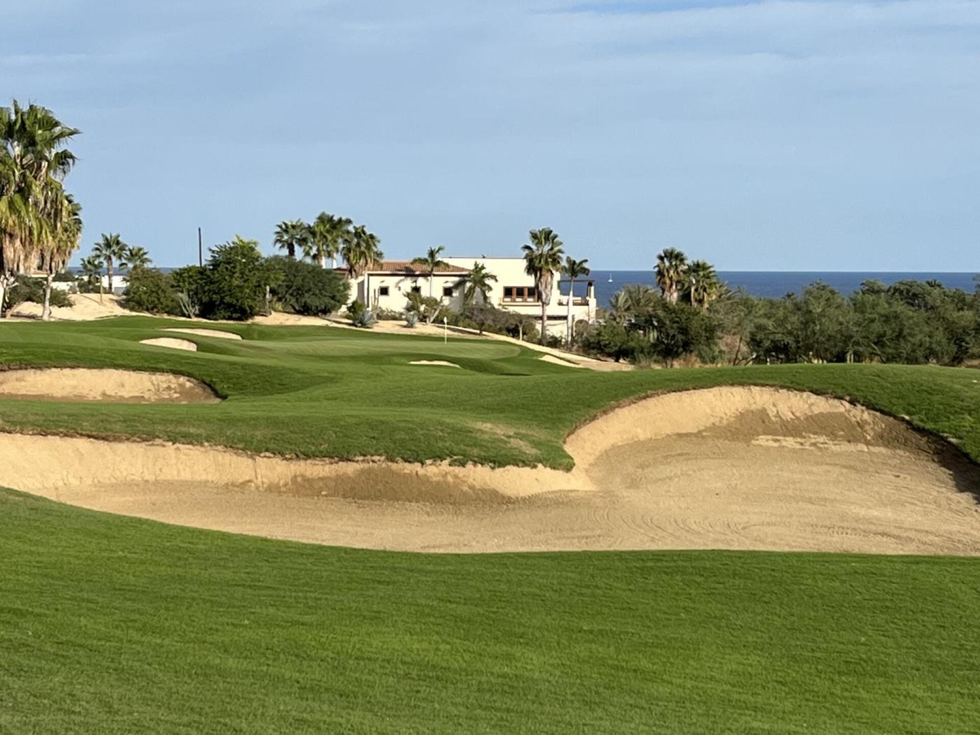 (Photo submitted by TDJohnstone on 12/13/2022)