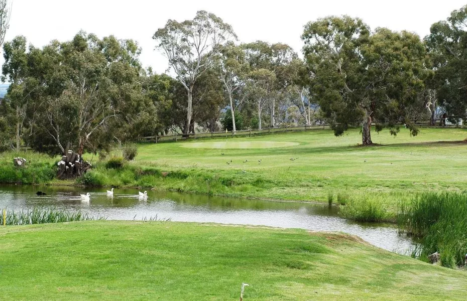 Cooma GC