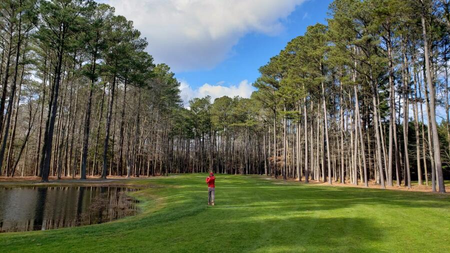 Ocean Resorts Golf Club - trees