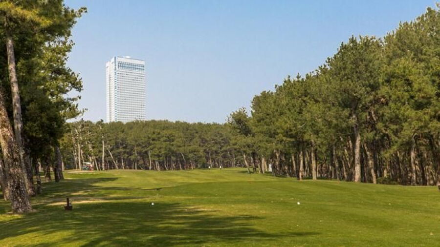 Tom Watson GC