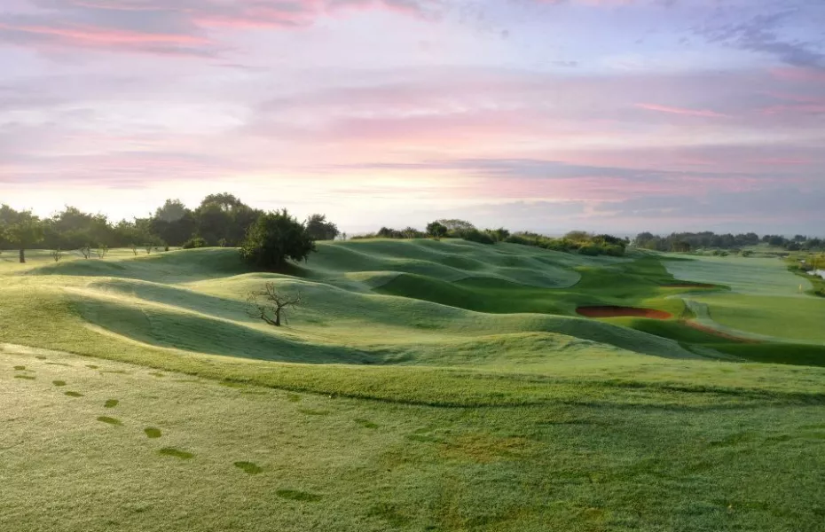 Vipingo Ridge - Baobab