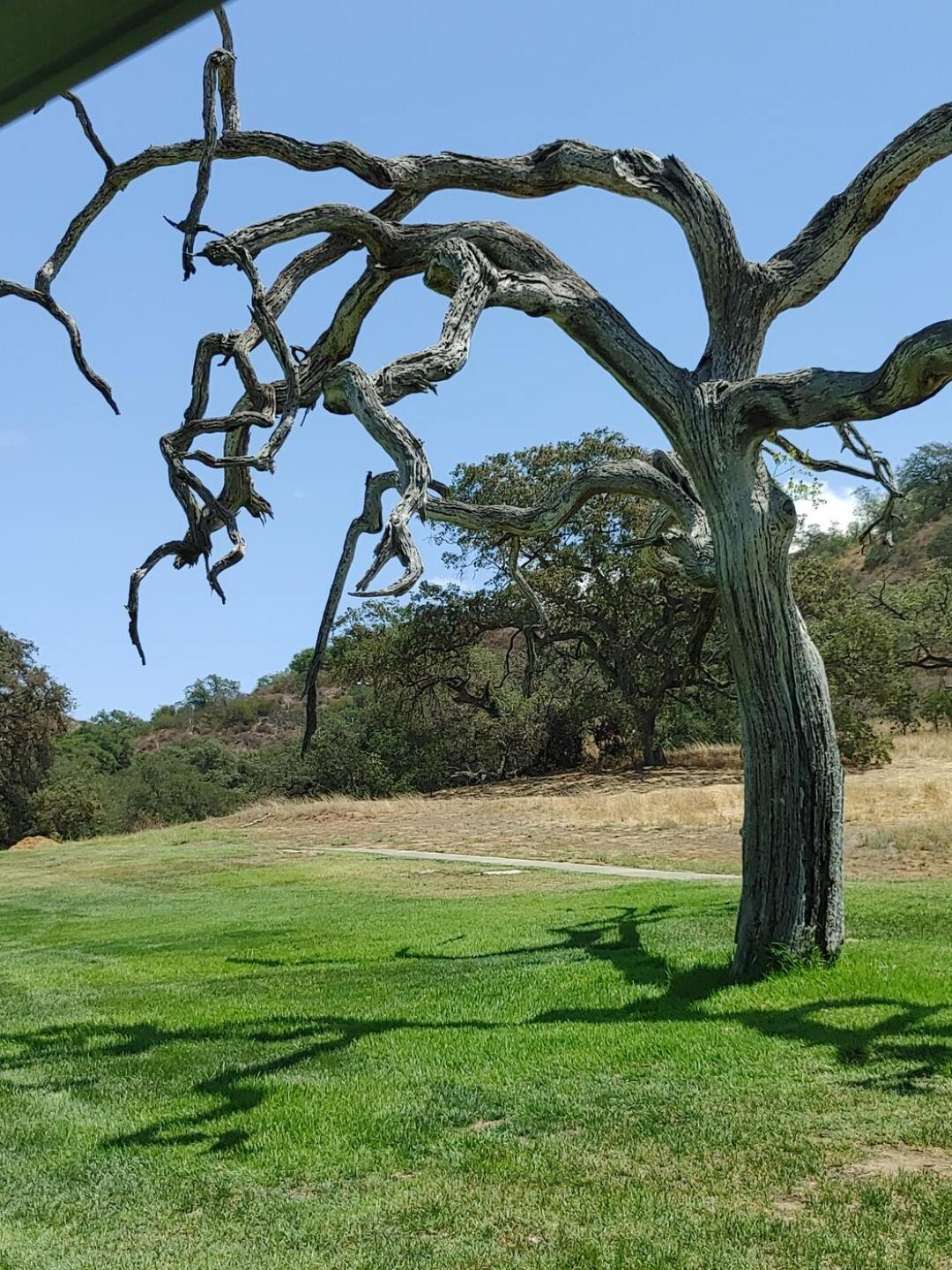 (Photo submitted by u000006664629 on 07/29/2022)