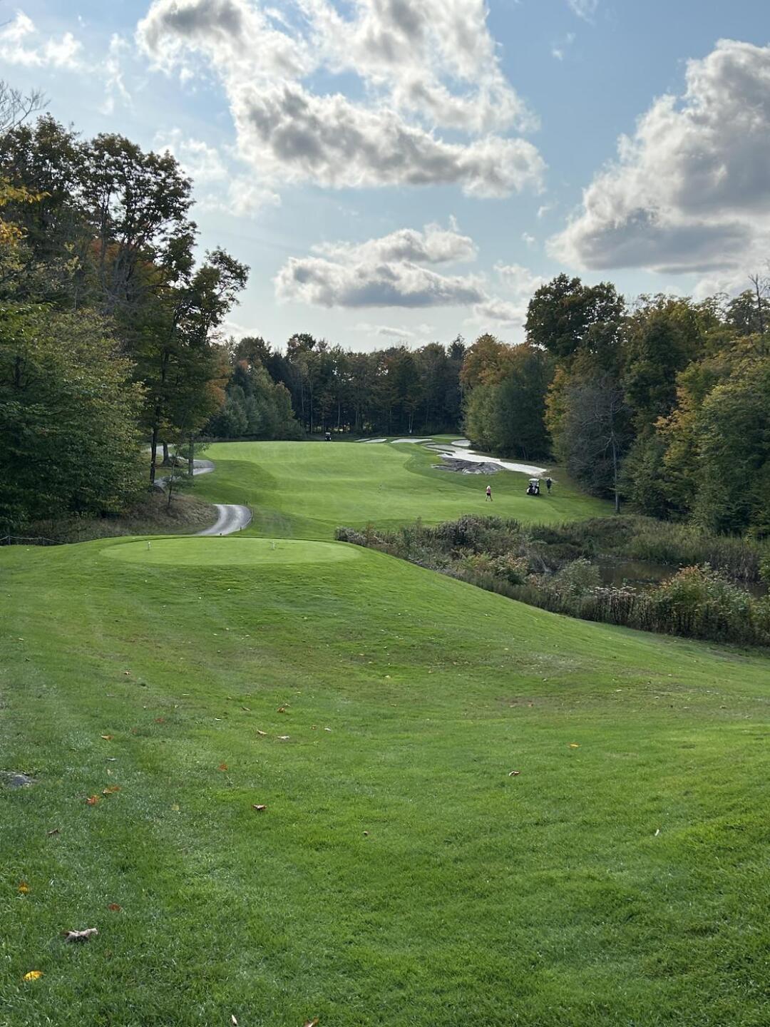 (Photo submitted by patton1 on 10/07/2024)