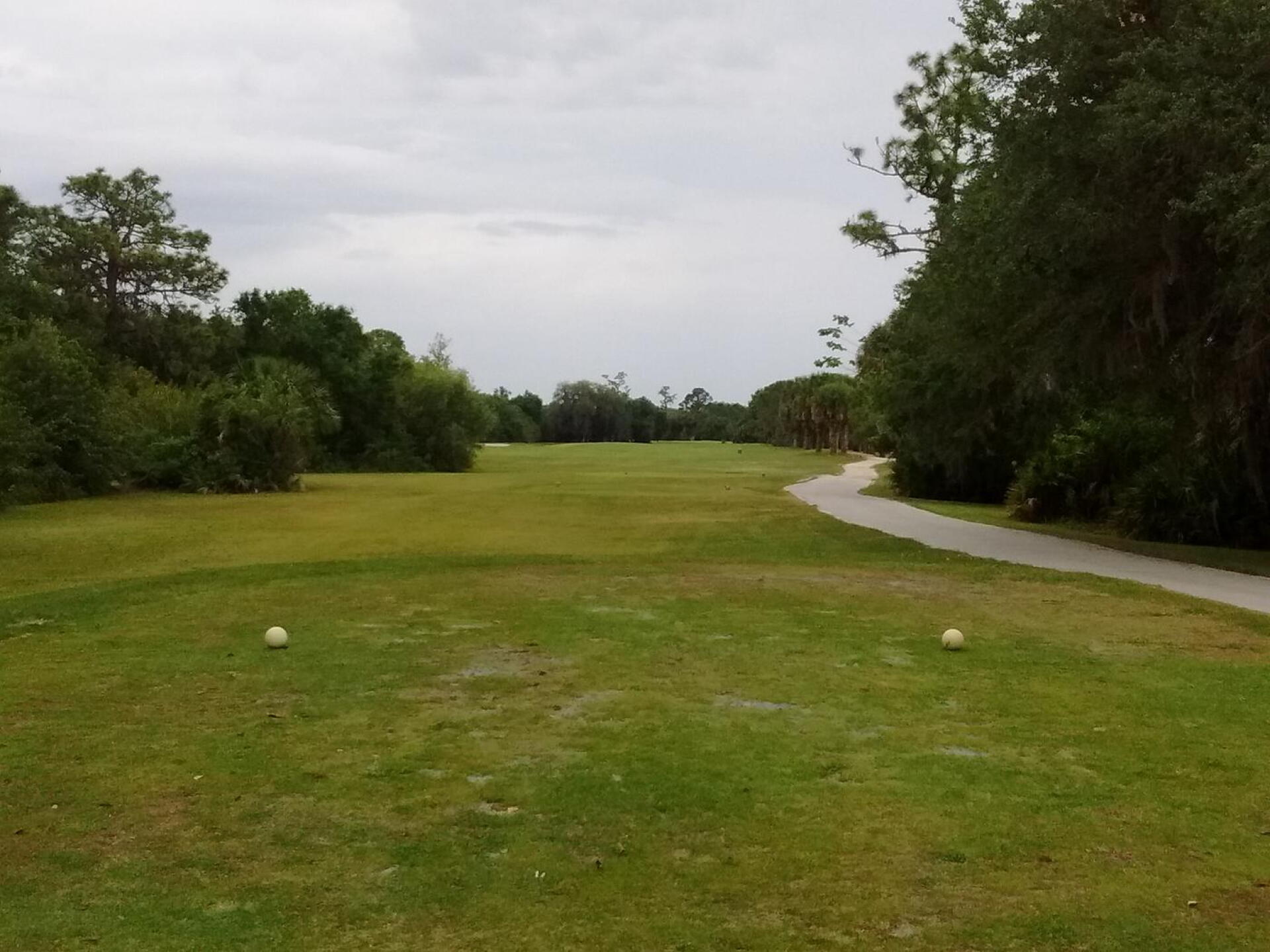 (Photo submitted by extennisnowgolfer on 04/24/2017)