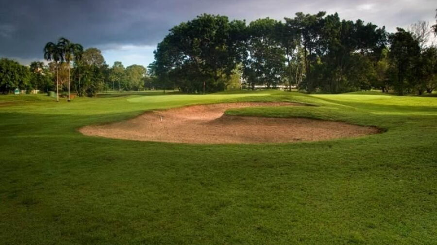 Darwin GC: #15