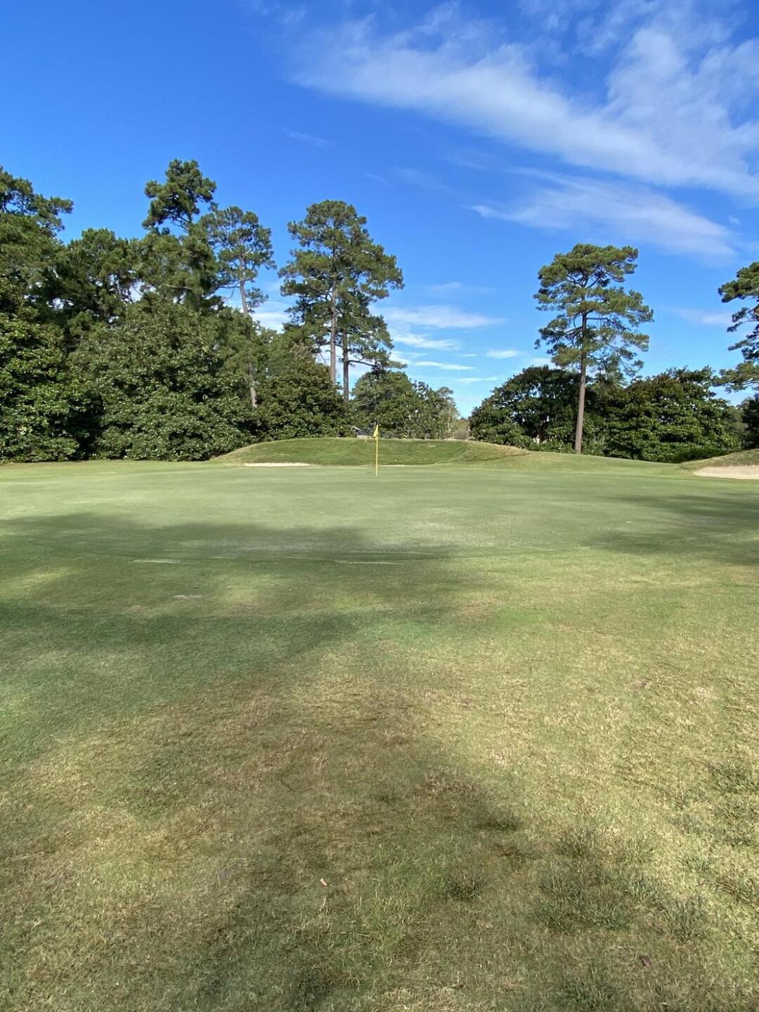 (Photo submitted by jkizme on 10/20/2023)