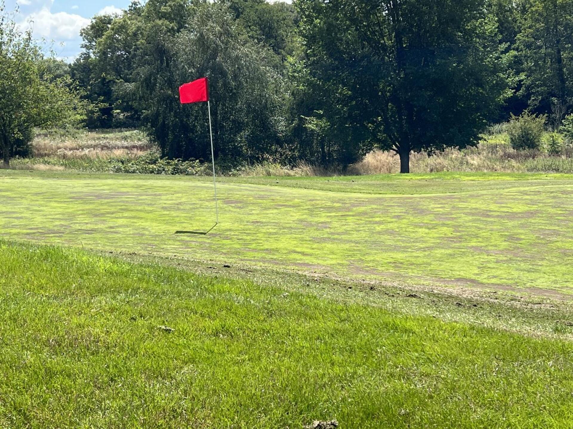 (Photo submitted by chef2022 on 08/16/2023)