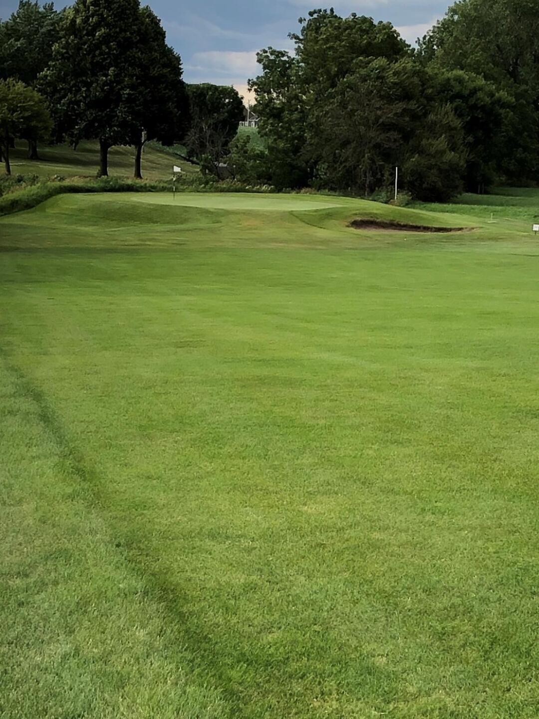 (Photo submitted by Kale1523211 on 08/09/2020)