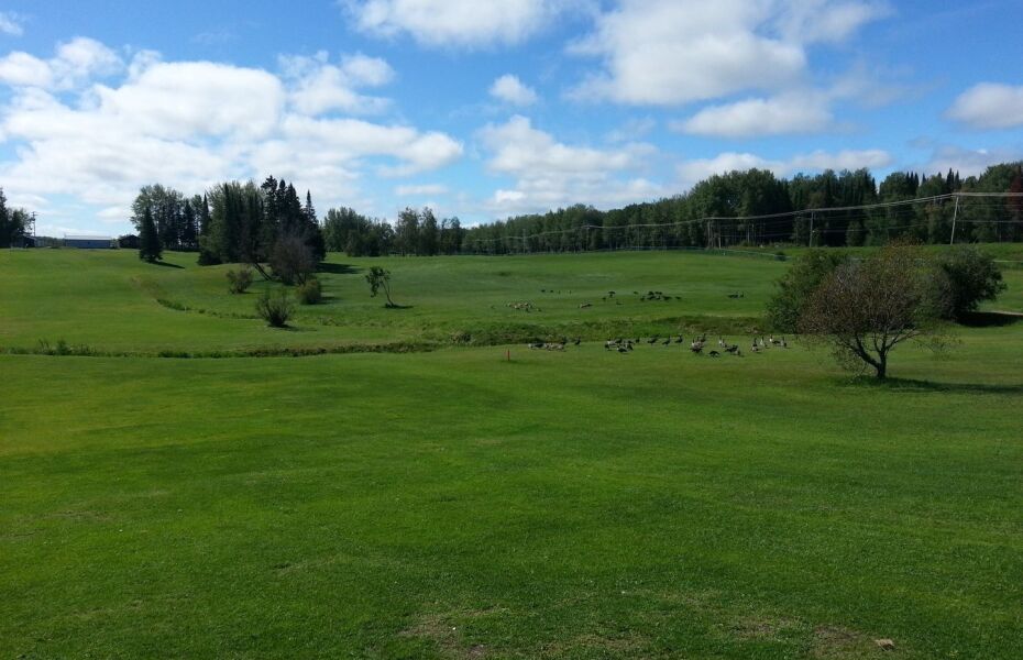 Club de Golf de Quevillon in Lebel sur Quevillon, Quebec, Canada GolfPass