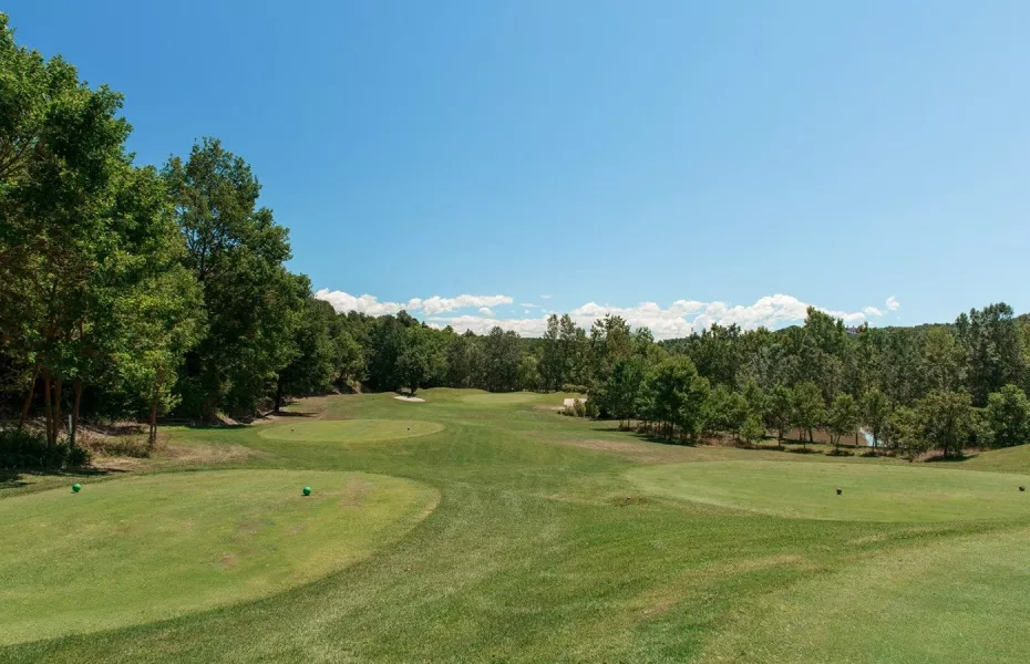 Colline del Gavi GC - The Champion: #8