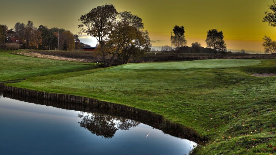 Tomelilla GC: #14
