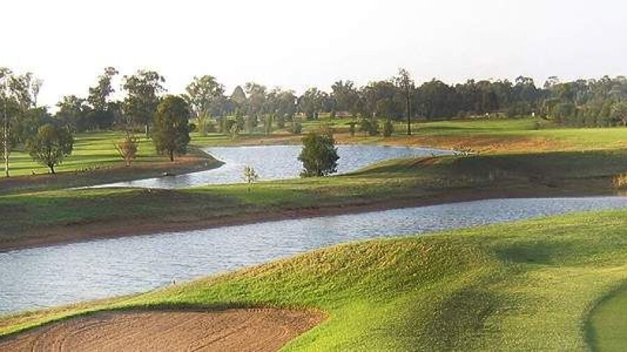 Dubbo GC