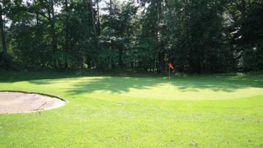 British Army GC Sennelager - Forest Pine: #13