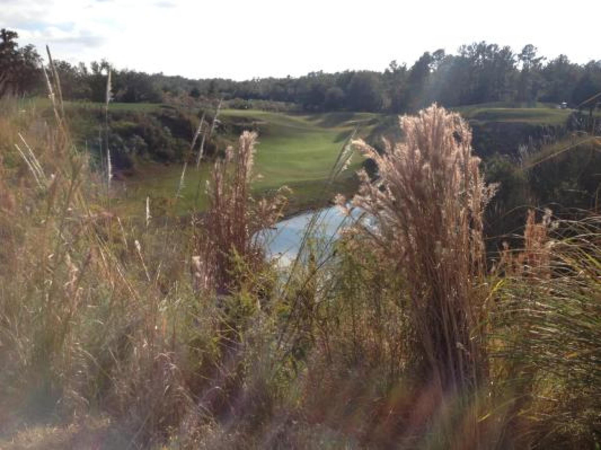 one of the great holes on the back nine (Photo submitted by Renehalligan on 11/29/2012)