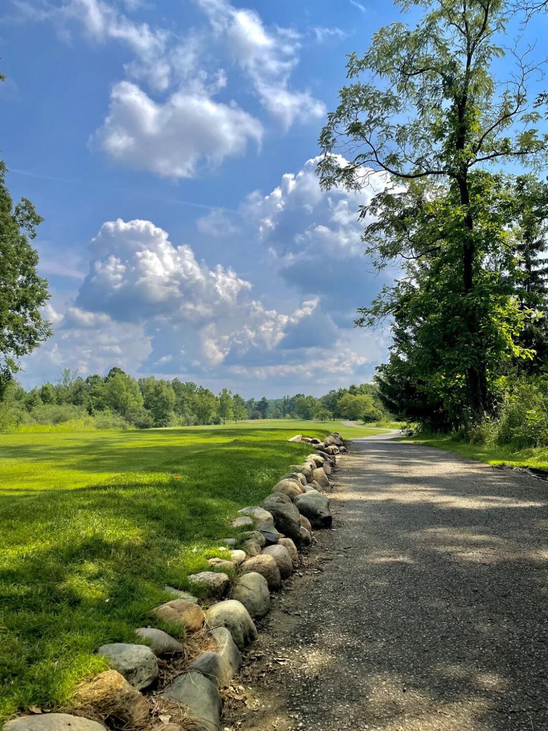 (Photo submitted by MiggyTG5 on 07/08/2021)