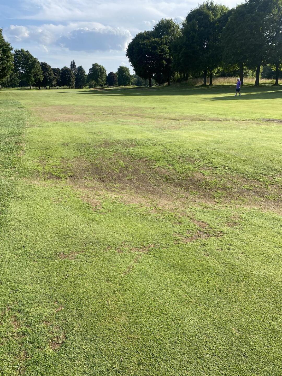 18th Fairway (Photo submitted by u314159446912 on 08/24/2024)