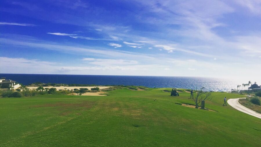 Puerto Los Cabos GC - Norman: #7