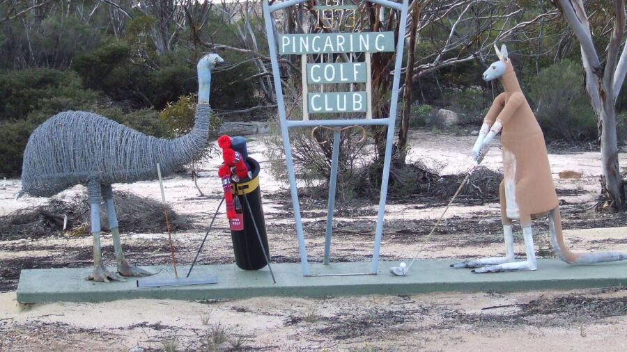 Pingaring GC