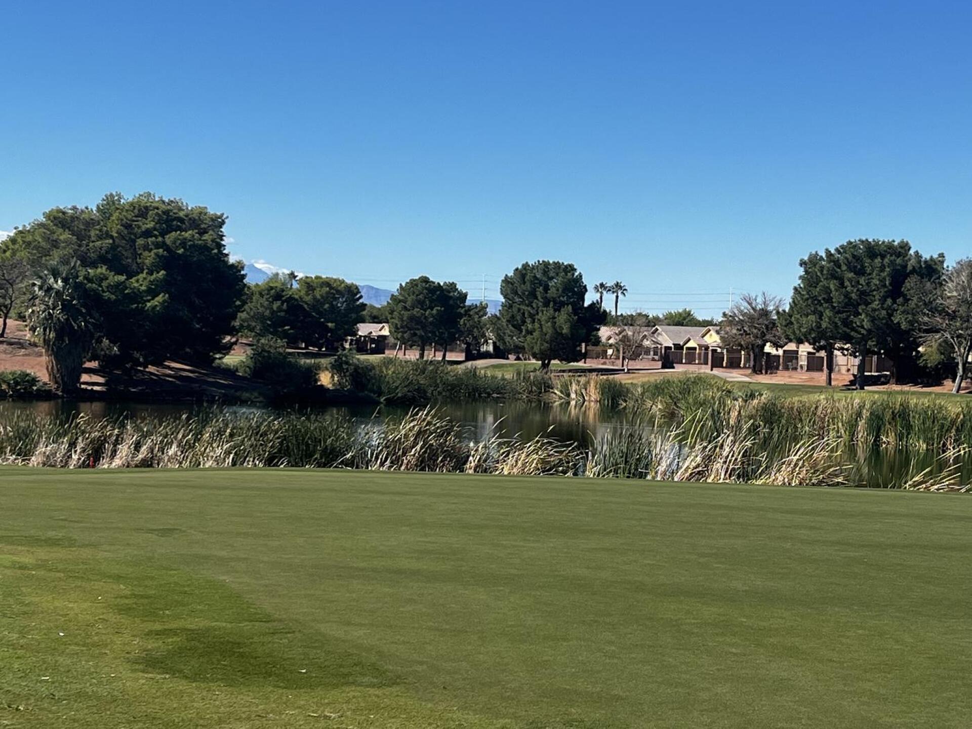 (Photo submitted by Daemke on 10/22/2025)