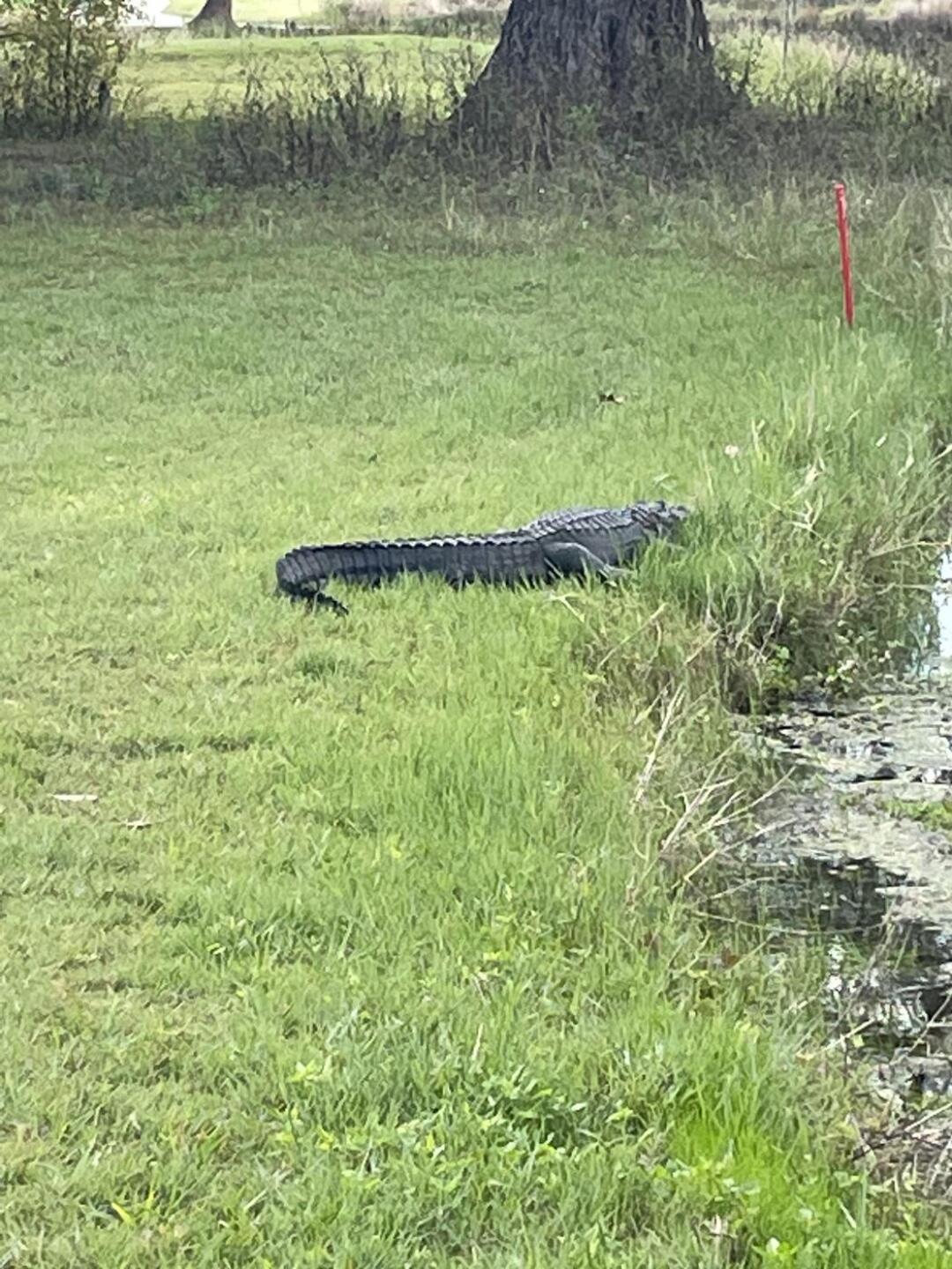 (Photo submitted by Greg9975115 on 12/05/2022)