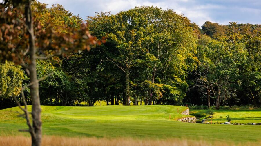Killarney Golf and Fishing Club - Killeen: #7