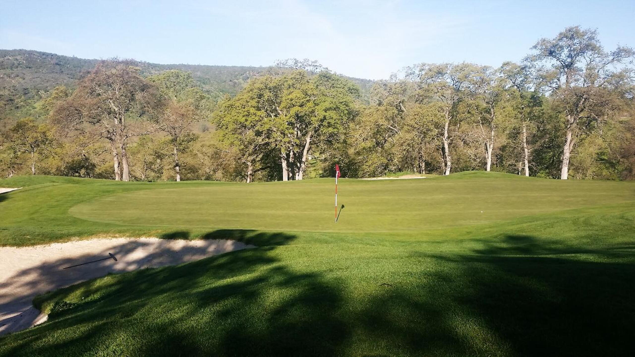 Safe Landing on the 7th green (Photo submitted by brovarnm on 03/30/2017)