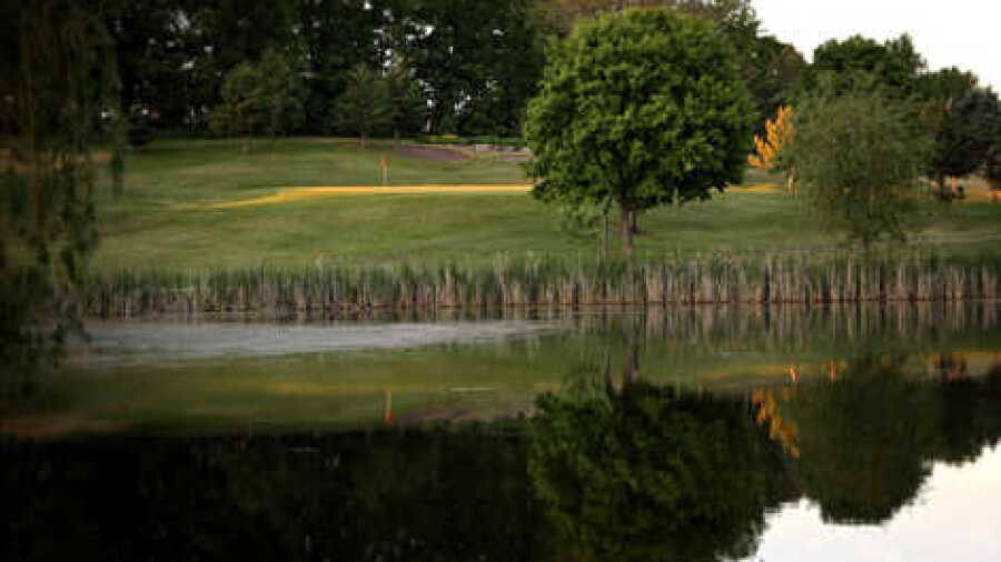 Albany GC: #11