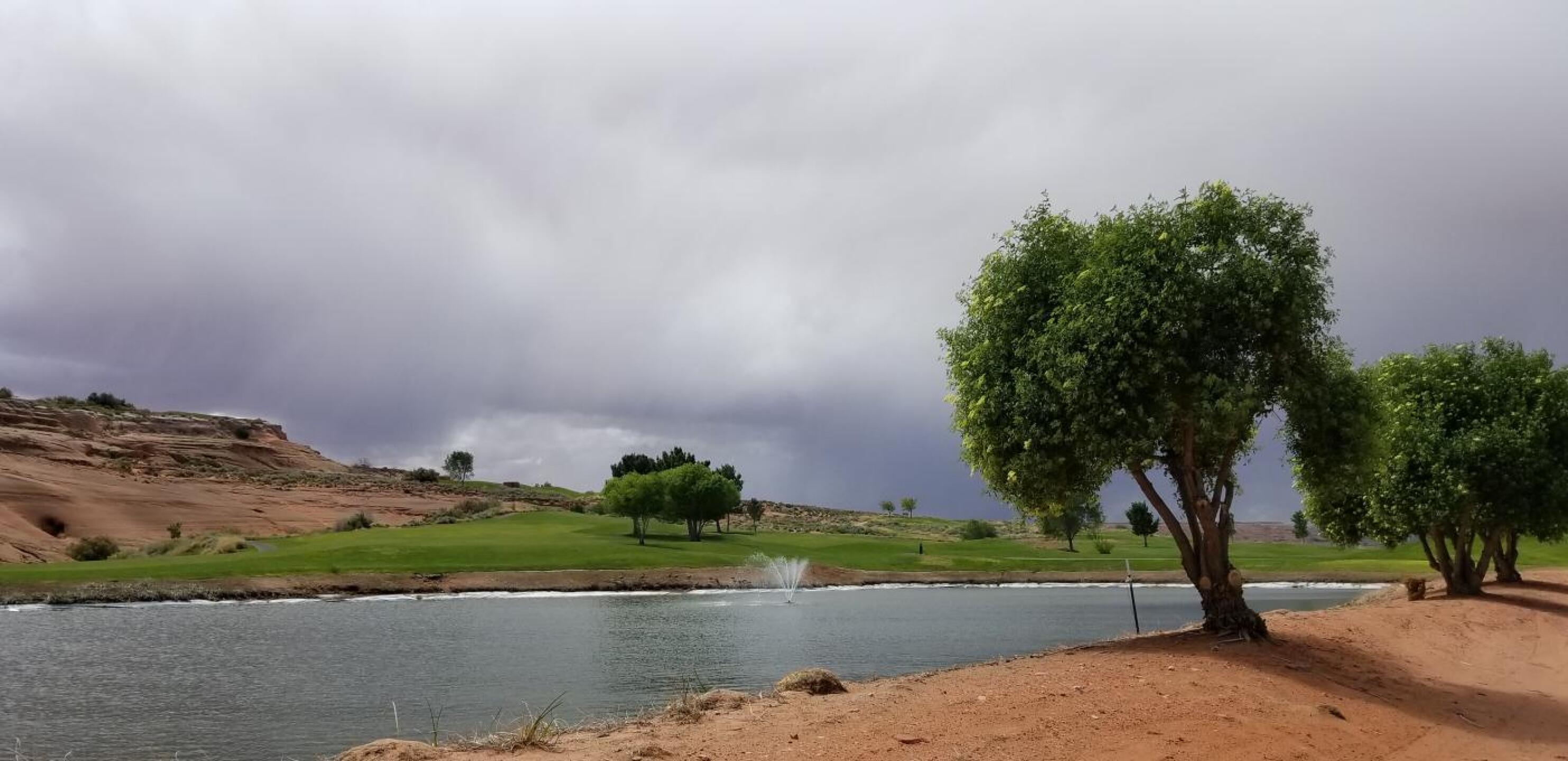 (Photo submitted by u000002932288 on 05/09/2019)