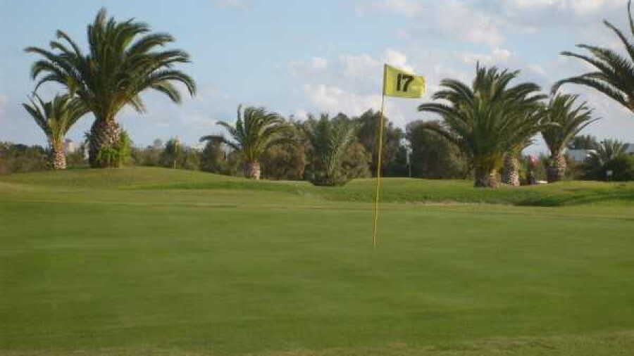 Palm Links GC: #17