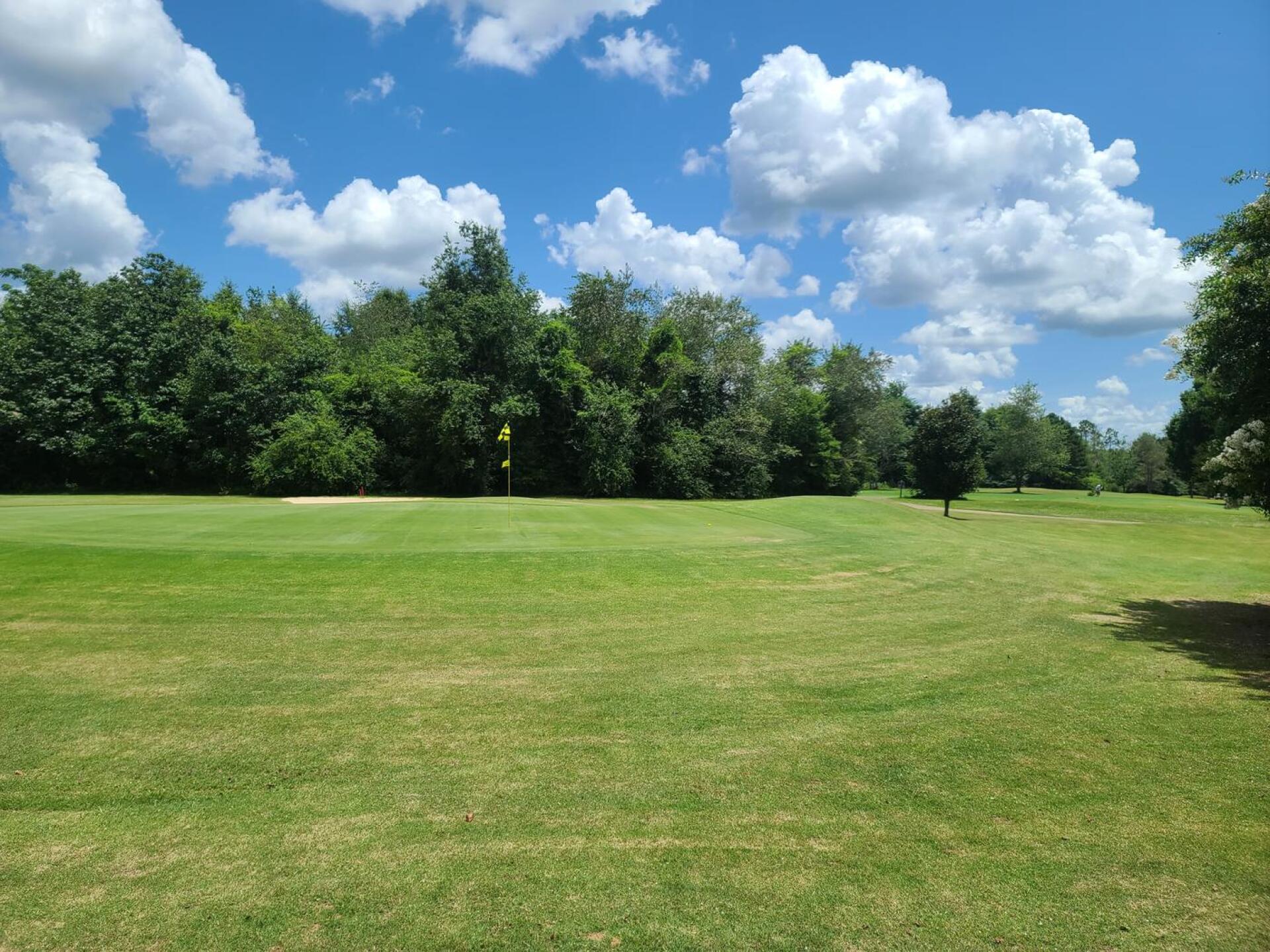 (Photo submitted by GolfingDaddy1 on 04/05/2022)
