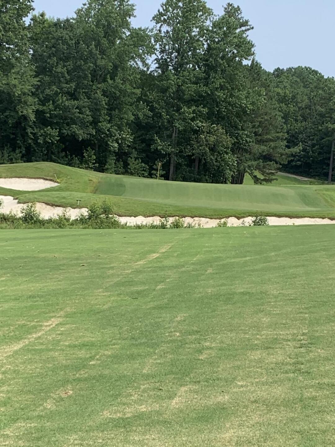 10th Green (Photo submitted by djgetnice on 07/25/2021)