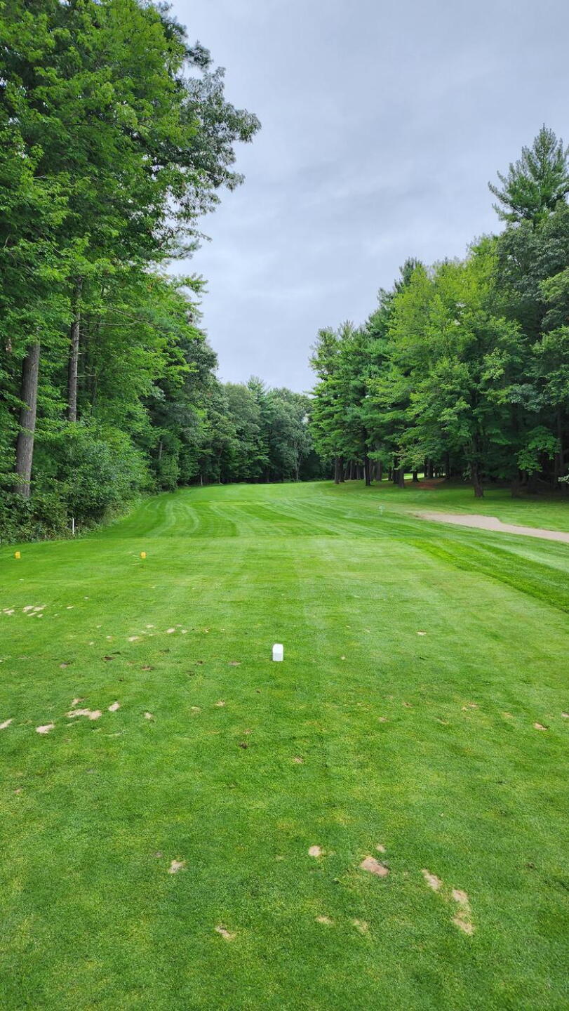 2nd teeshot on Westwoods is the most challenging (Photo submitted by u818473581 on 08/30/2025)