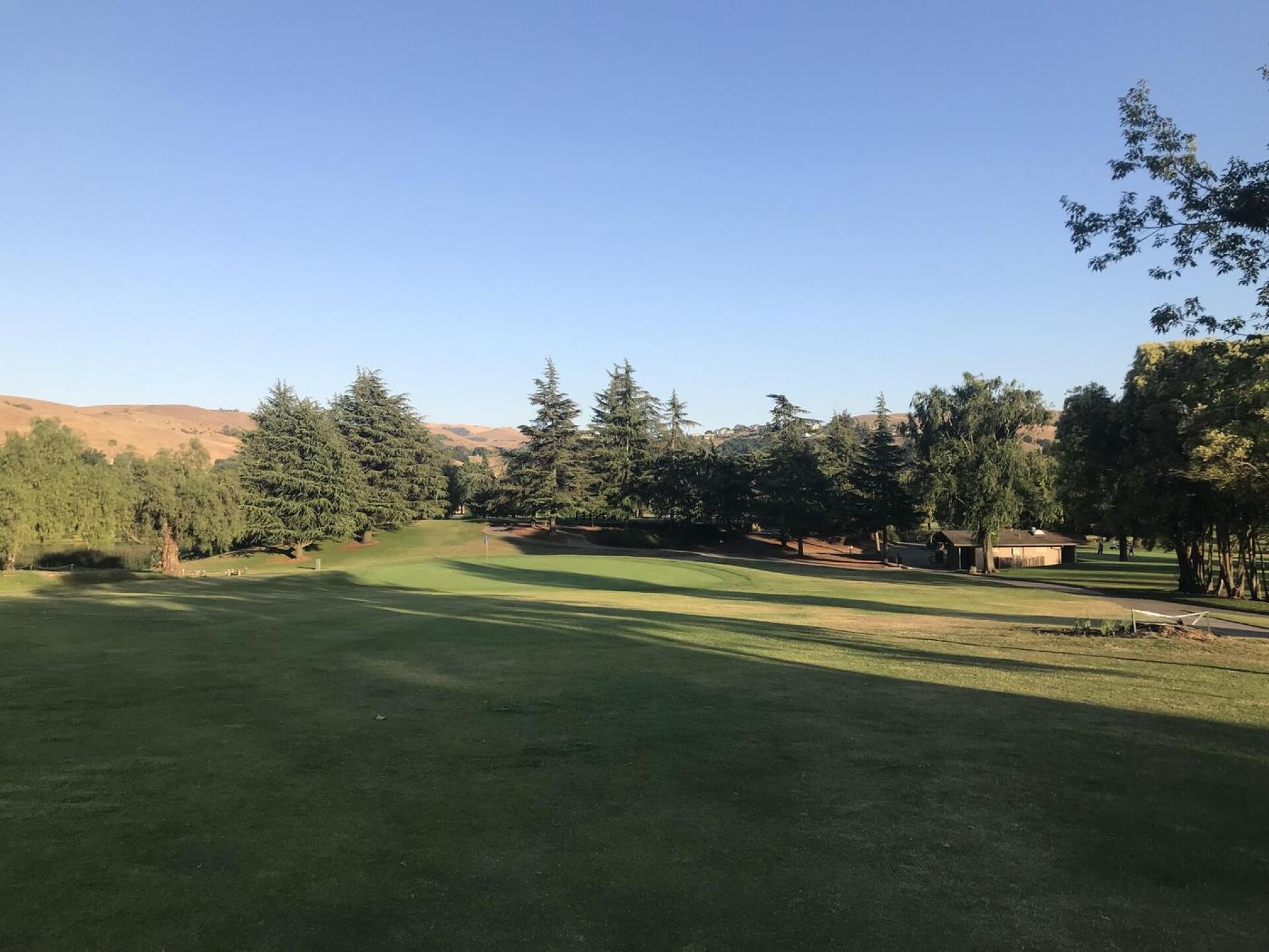 (Photo submitted by JasonDeeganGA on 07/14/2021)