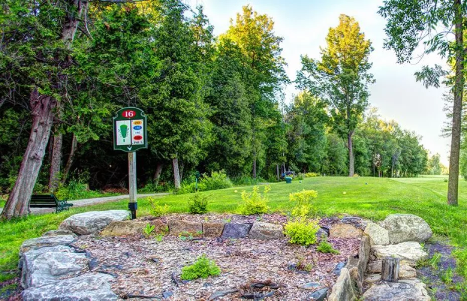 Falcon Ridge GC - Championship: #16