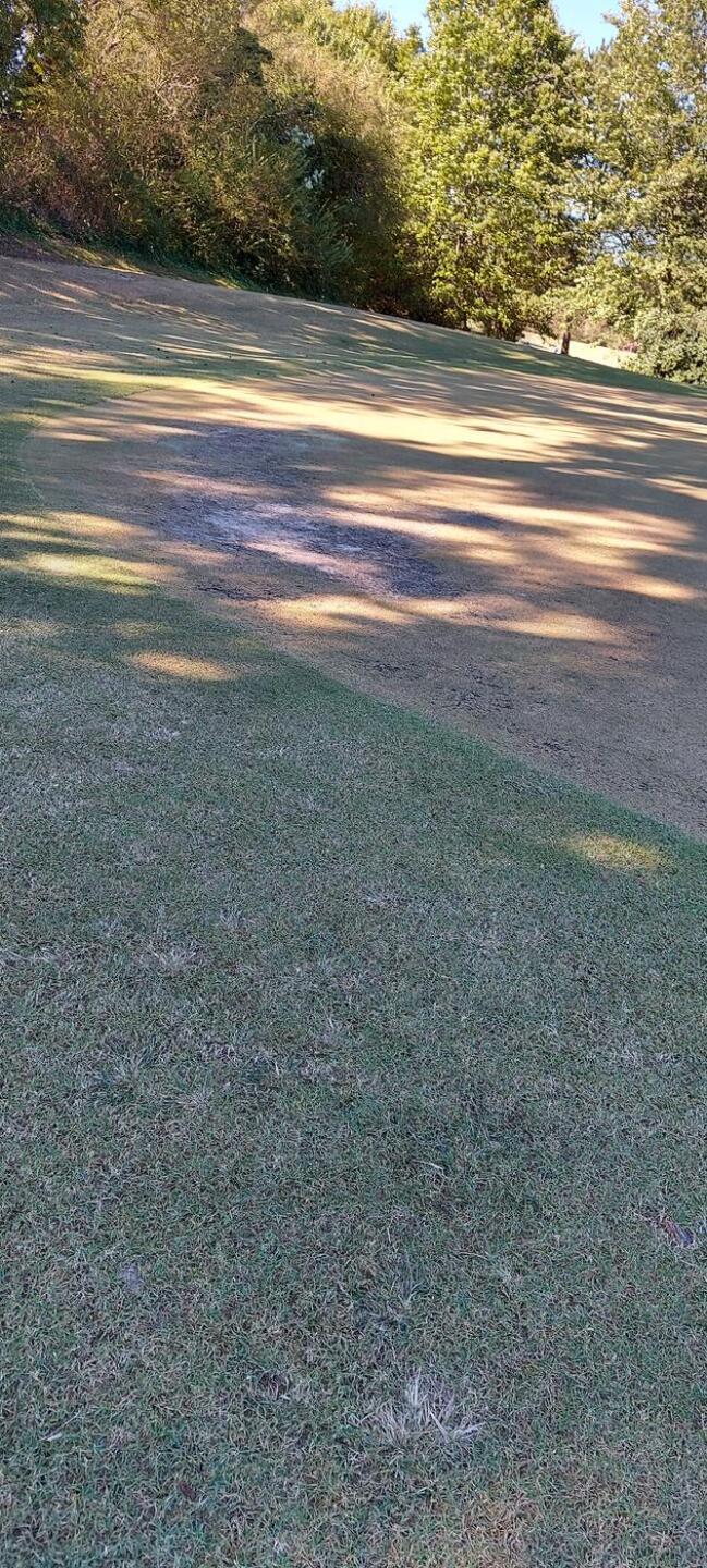 (Photo submitted by u621076289 on 10/07/2022)