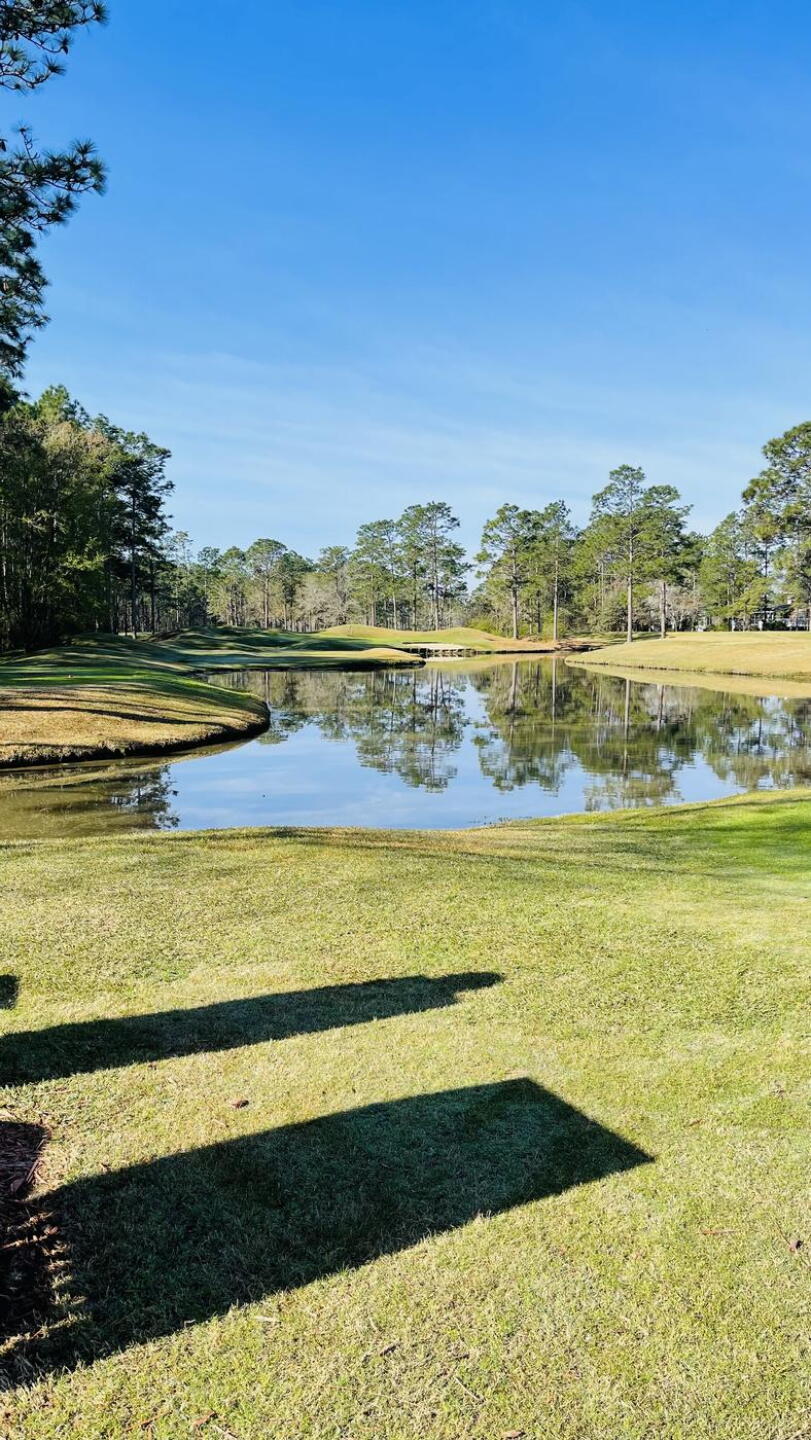 Pretty cool and challenging hole #8 (Photo submitted by thejesusromero on 03/20/2022)