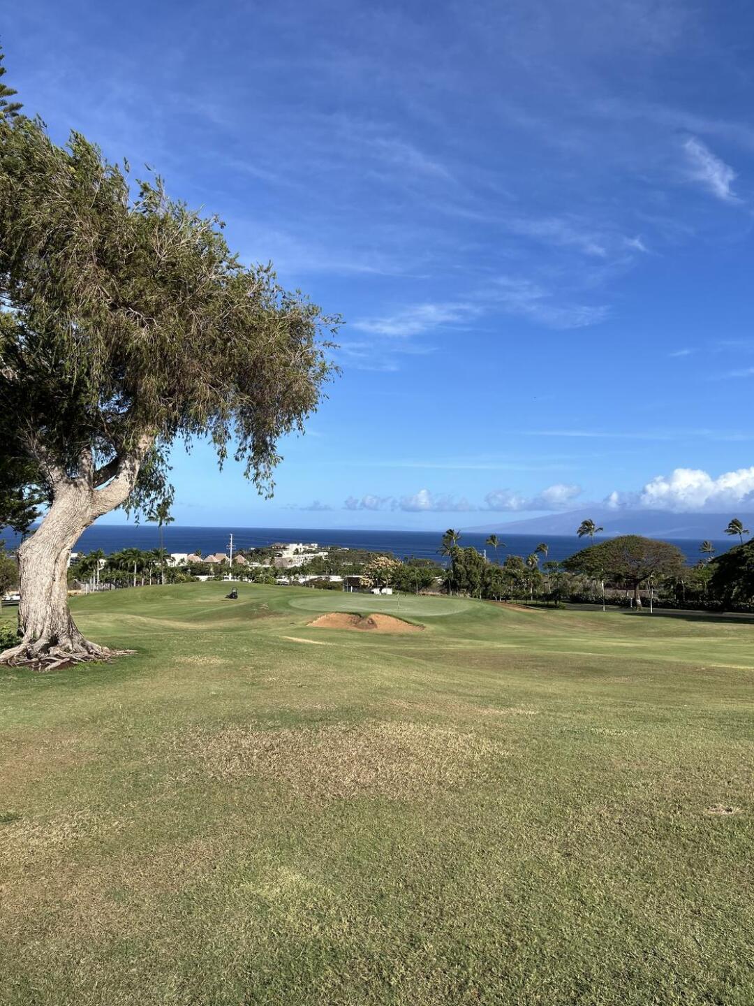 (Photo submitted by Ztucker on 06/18/2025)