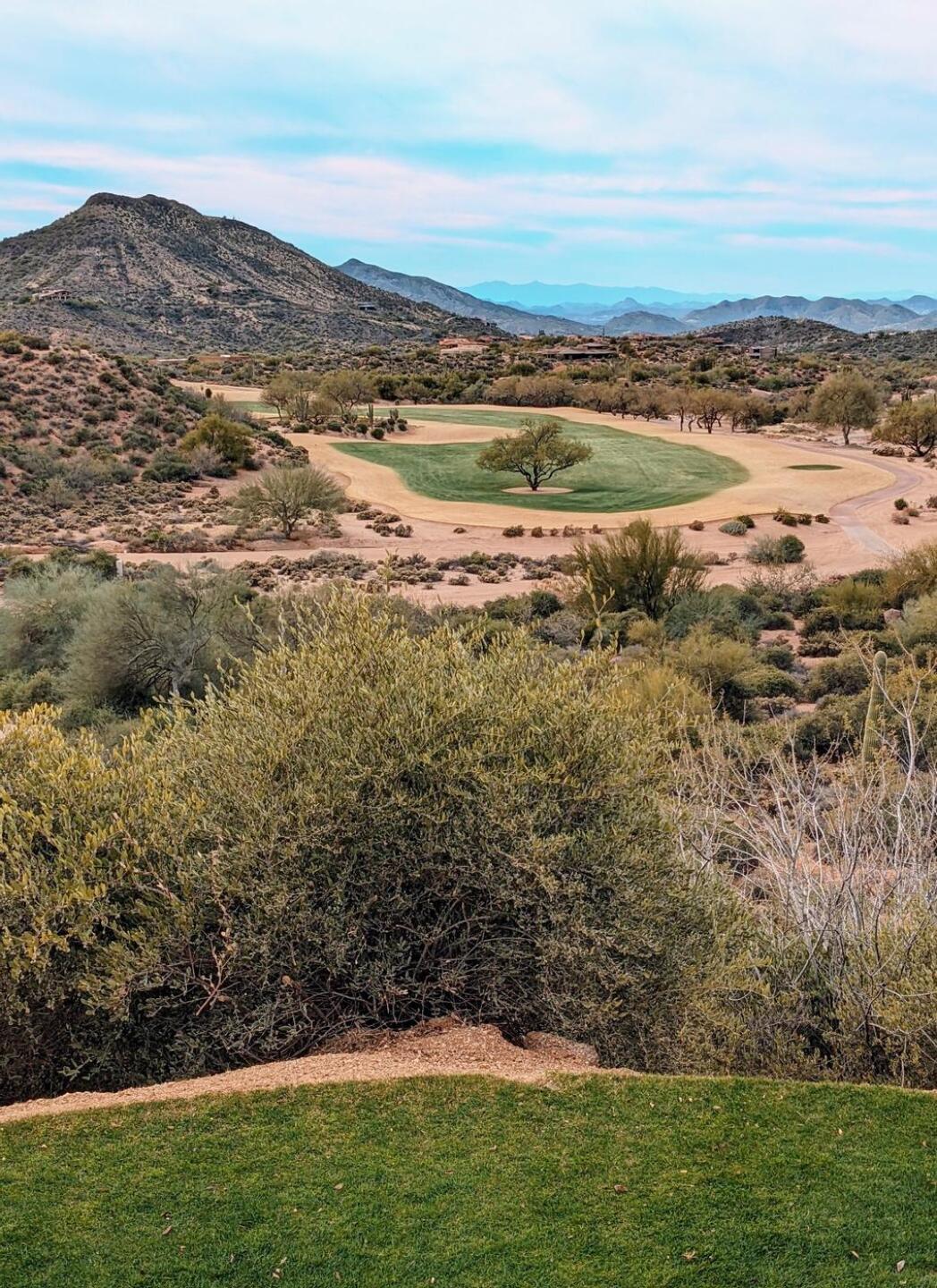 (Photo submitted by Snaphook417 on 01/18/2022)