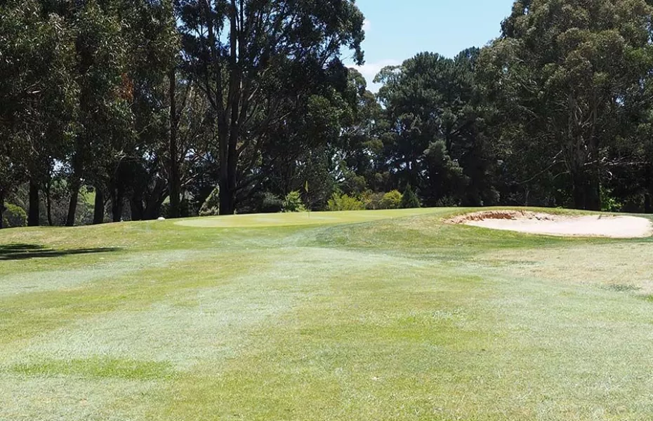 Trentham GC: #1